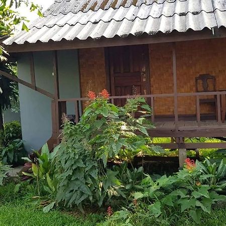 Pasanchai Bungalow Vang Vieng Eksteriør billede